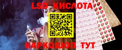 гидропоника Камышлов