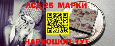 гидропоника Камышлов