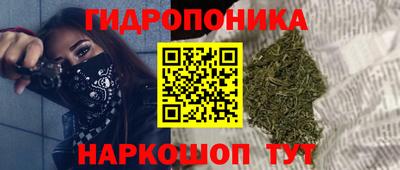 дмт Кандалакша