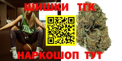 гидропоника Камышлов
