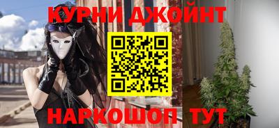 гидропоника Камышлов