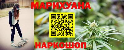 гидропоника Камышлов