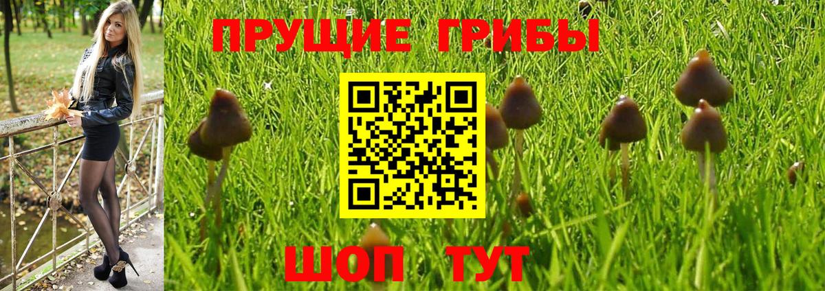 Зеленодольск  Галлюциногенные грибы Magic Shrooms  Псилоцибиновые грибы Psilocybine cubensis  Вход с VPN 